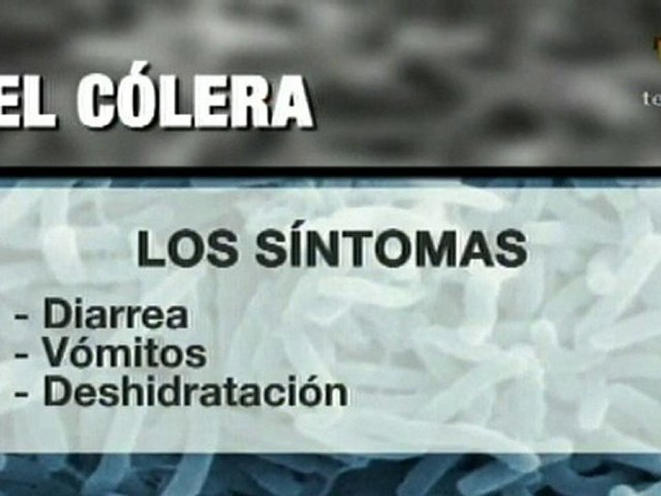 El cólera, una enfermedad de la pobreza