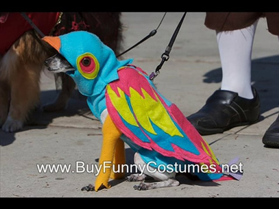 very unique halloween costumes