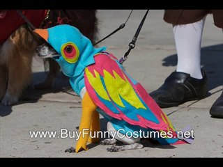 very unique halloween costumes