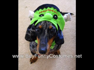 halloween constume unique clothing stores