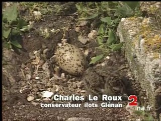 ILES DES GLENANS