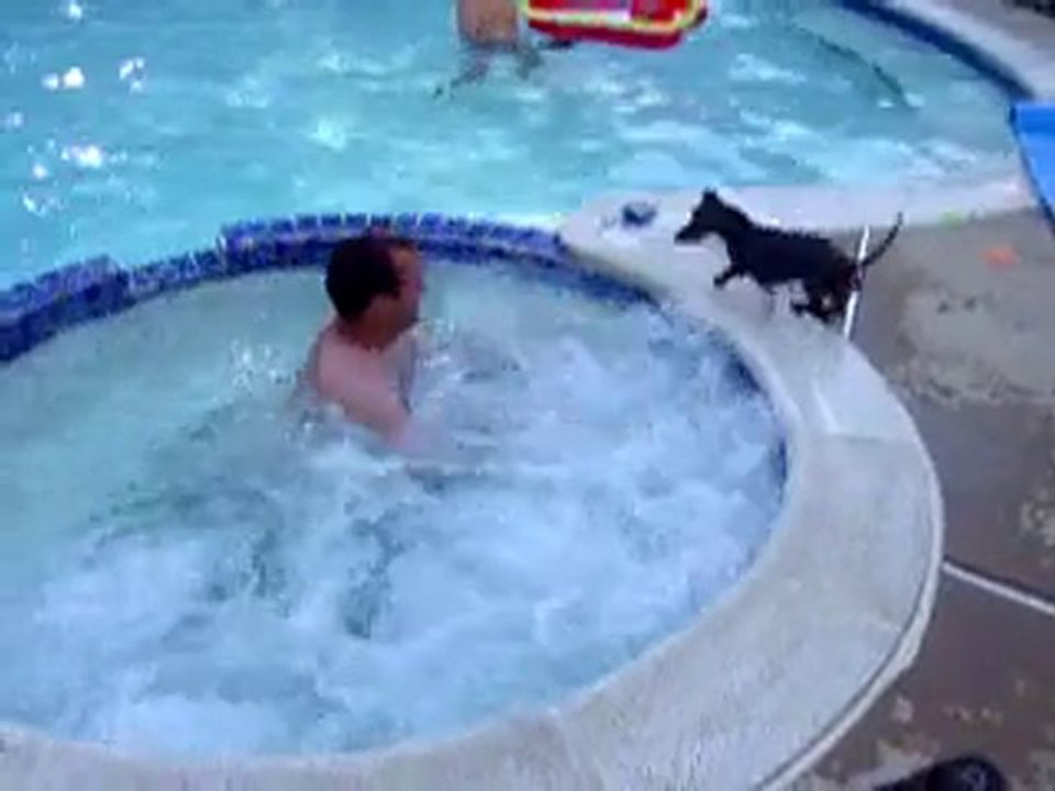 Il bassotto che impazzisce per l'idromassaggio