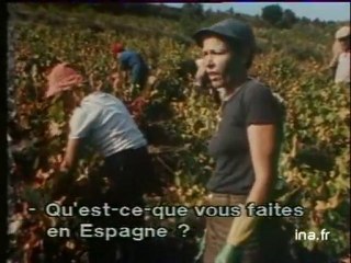Vin et vendangeurs immigrés