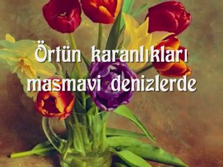 Anlatamıyorum ve Bir gün -şiir video