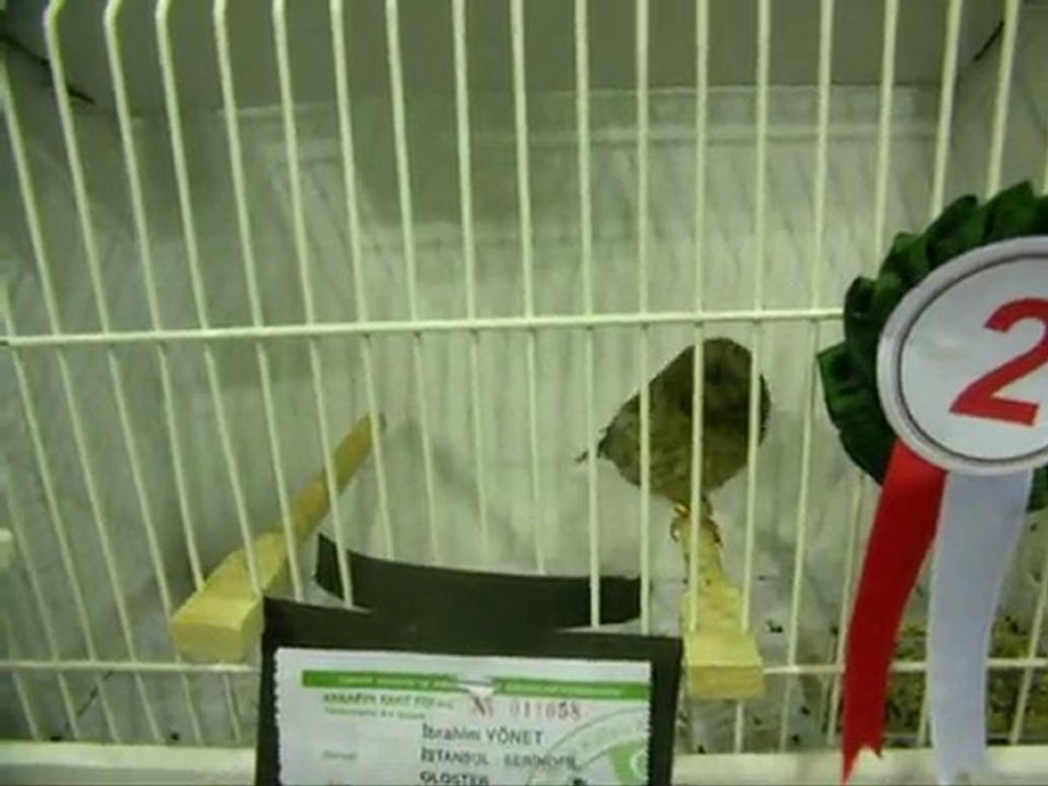 DüZ RENK TEPELiLER | BURSA 2010