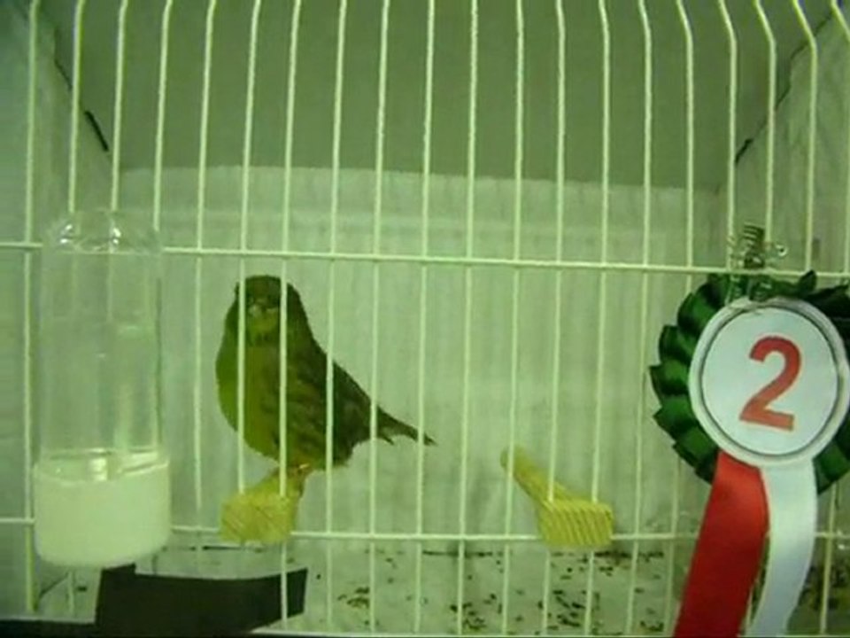 DüZ RENK KABAKLAR | 2010 BURSA