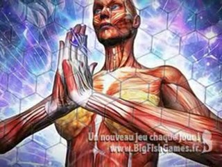 Redrum 2: Les Crimes du Docteur Fraud