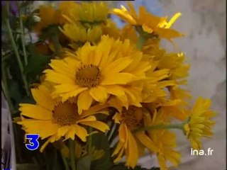 Montreuil : les murs a pêches