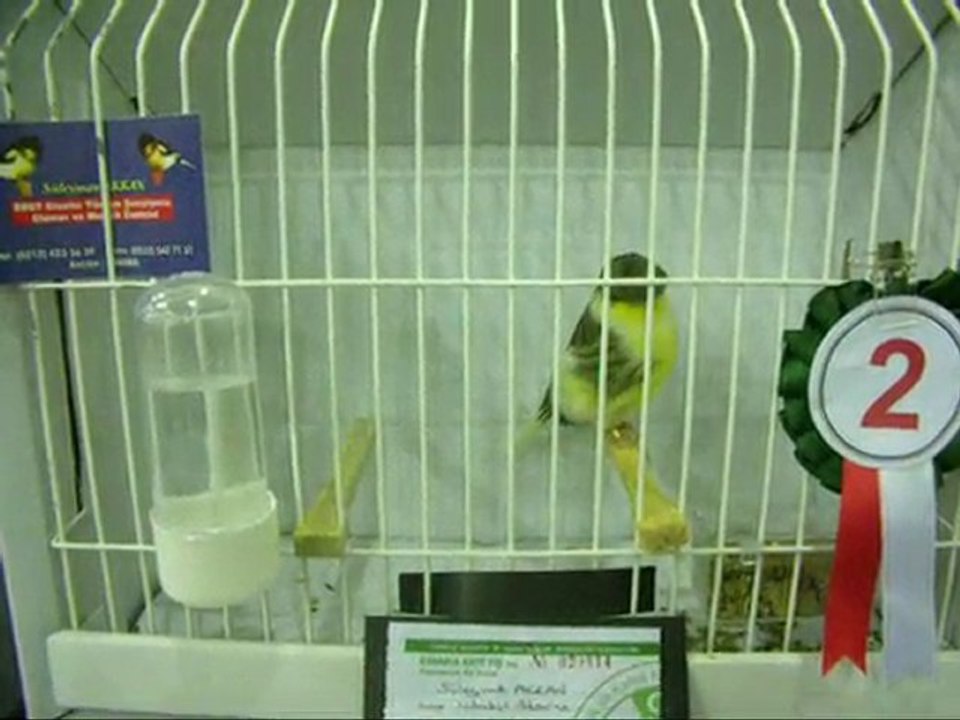 AHRAC TEPELiLER | 2010 BURSA