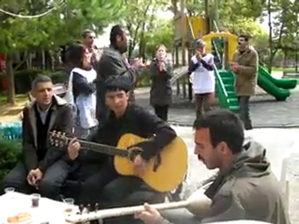 halaylar