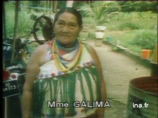 Elections législatives en Guyane