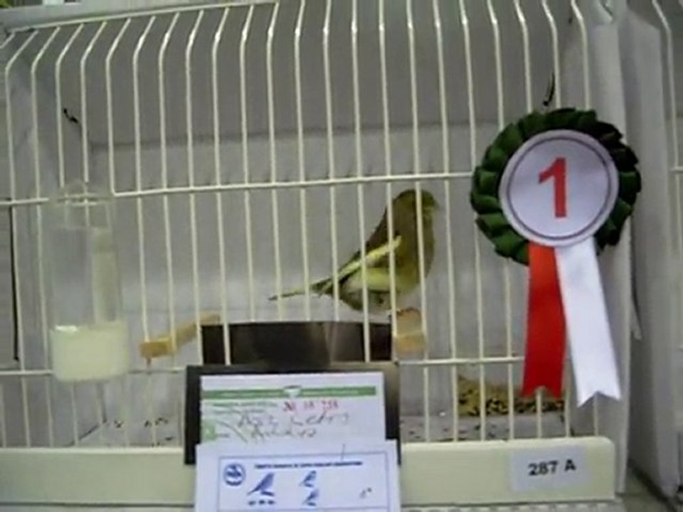 24.10.2010 Bursa Yarışması - Takım Gloster