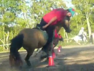 Peter Dale Libourne 2010