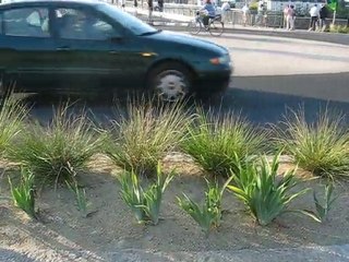 Nantes / St Séb : inauguration pont Léopold Sédar Senghor