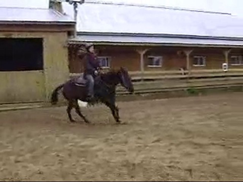 cours du 24