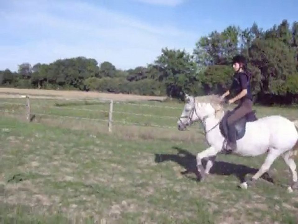 cso galina et moi puissance 1