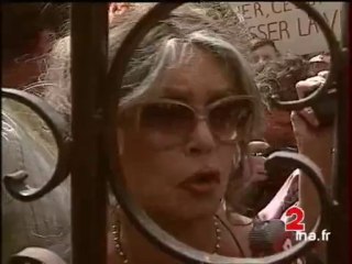 Brigitte Bardot face à face avec les chasseurs à Saint-Tropez - Archive vidéo INA