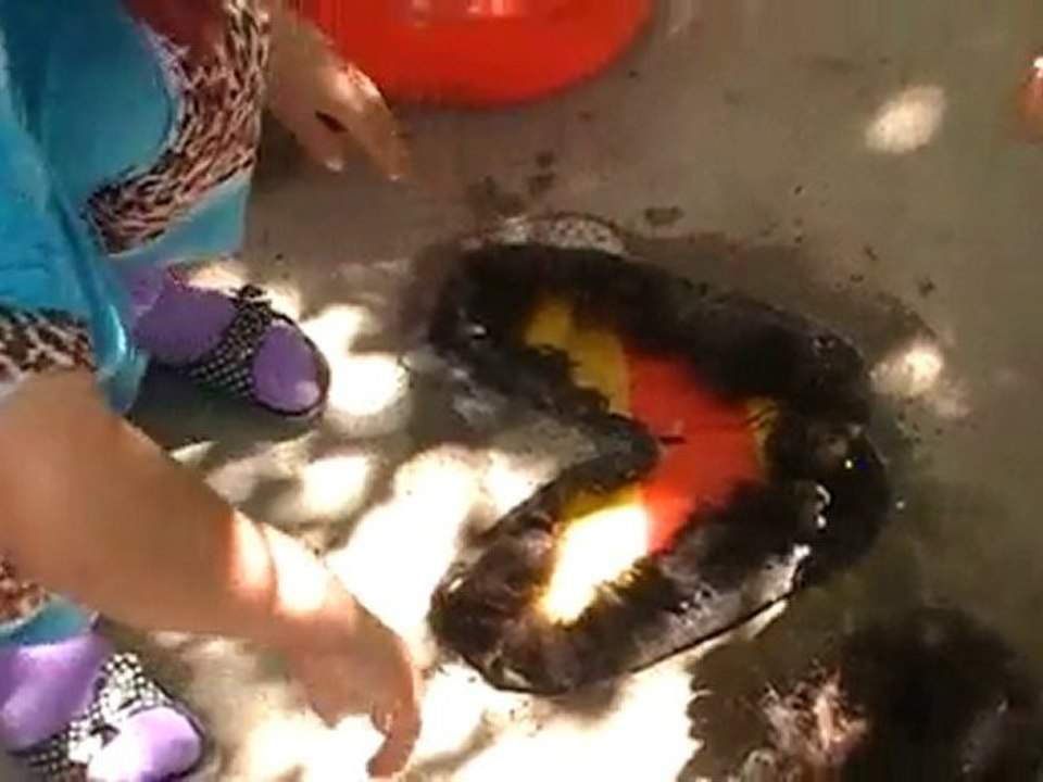 Tadjikistan - Zerafshan Tourism Development Association - 05