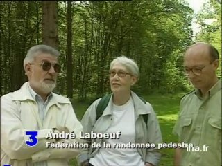 Forêt de Saint Germain : randonnée