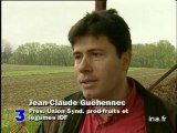 Les producteurs de légumes en IDF