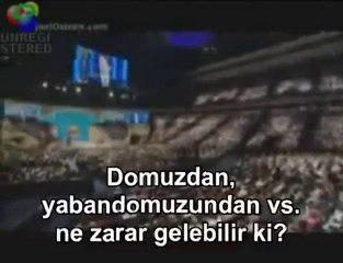 Domuz Neden Haram ? pelin batuya bir Hristiyandan cevap !