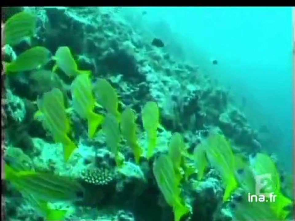 [Probable disparition des îles Maldives]