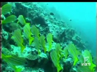 [Probable disparition des îles Maldives]