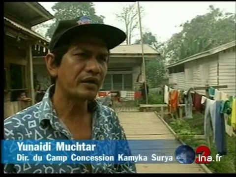 Déforestation Sumatra