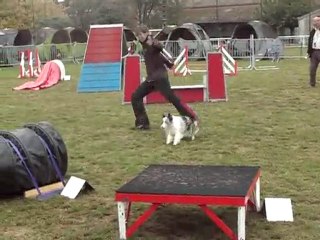 verylee 3 degré  ipac