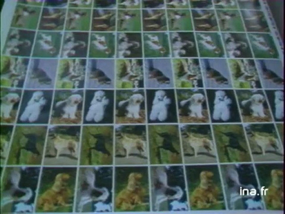 Blois : l'entreprise Poulain