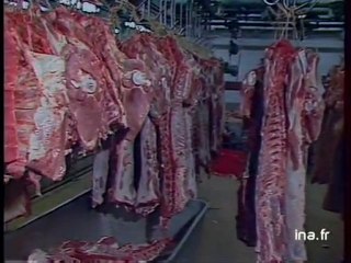 Présentation Rungis