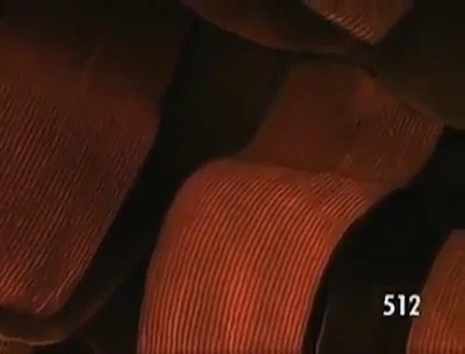 Kelebeği hiç bu kadar yakından gördünüz mü -