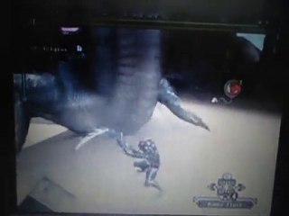 rathalos+/lagiacrus+ solo