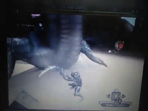 rathalos+/lagiacrus+ solo