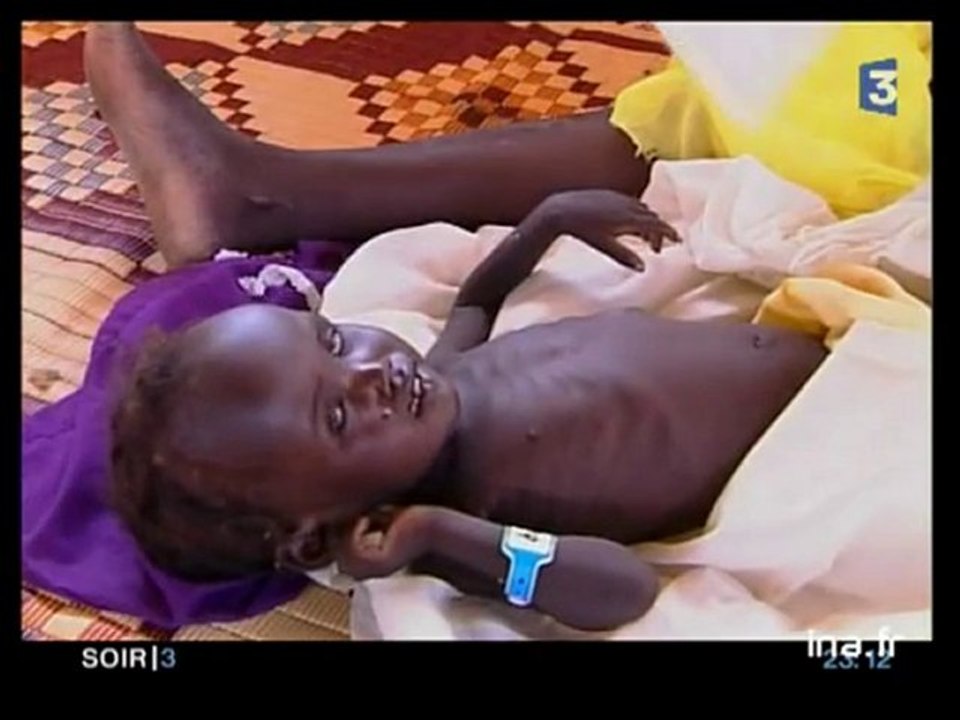 Darfour : l'ONU menace le Soudan de sanctions si le gvt ne désarme pas les Djand