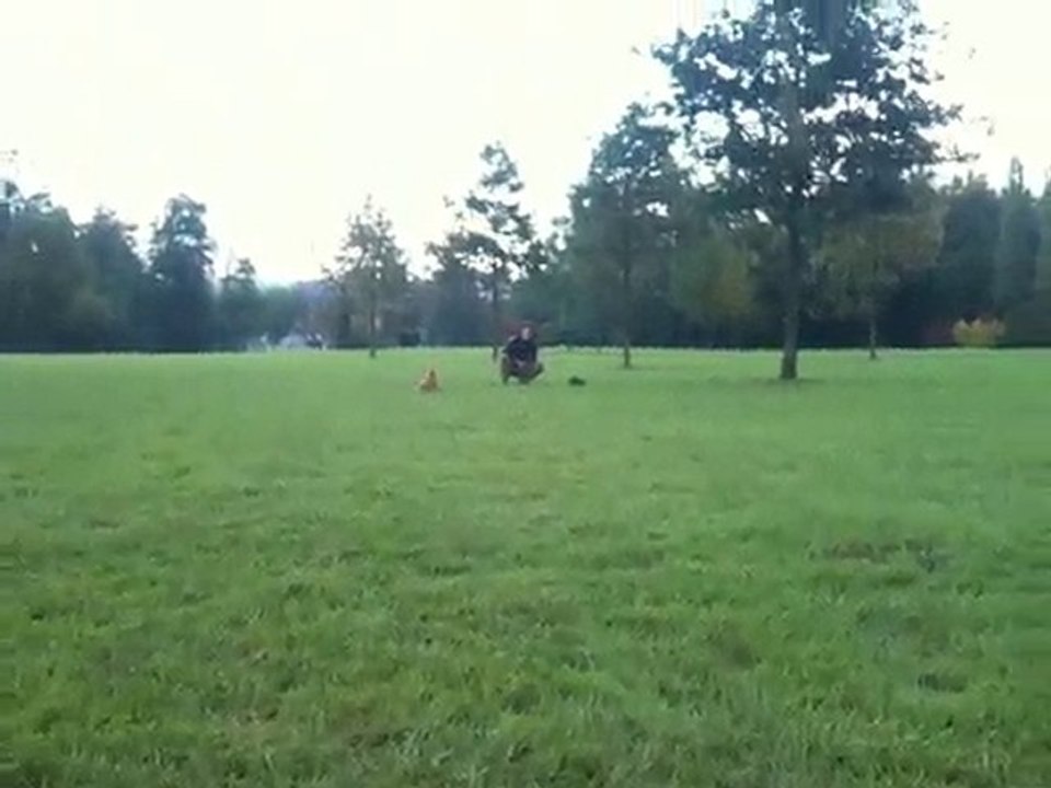 Fumi au parc de noisiel