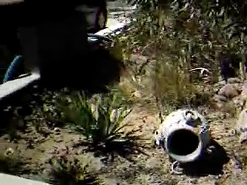 LE 22 AOUT 10  JARDIN TERRASSE