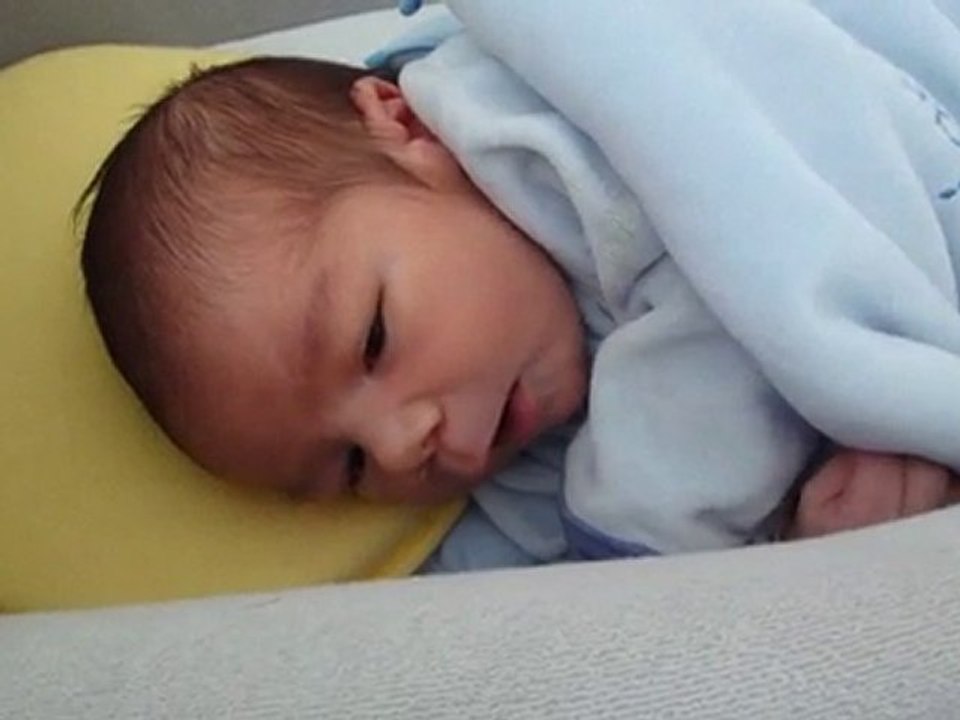 Lindo