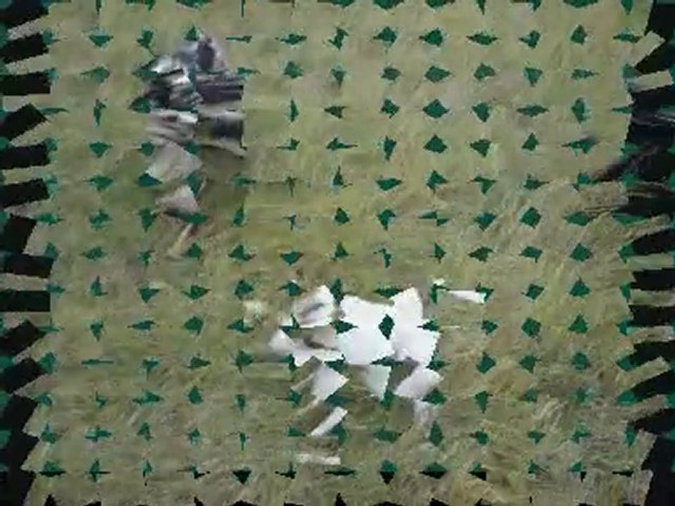 Rando avec le forum "avec son chien"