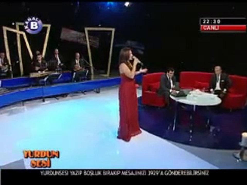 Selma Geçer - Sevmeyi sen alistirdin