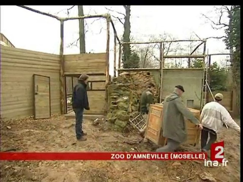 [La sauvegarde des espèces animales dans les zoos]