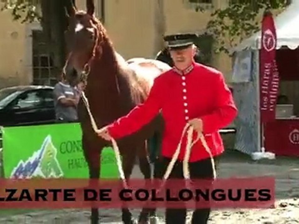 Olzarte de Collongues