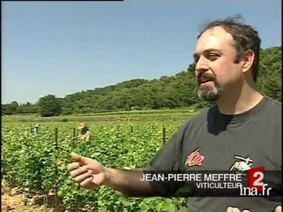 Les vins des Côtes du Rhône : un succès à l'étranger