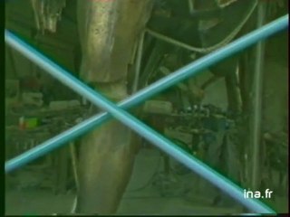 César rend hommage à Picasso - Archive vidéo INA