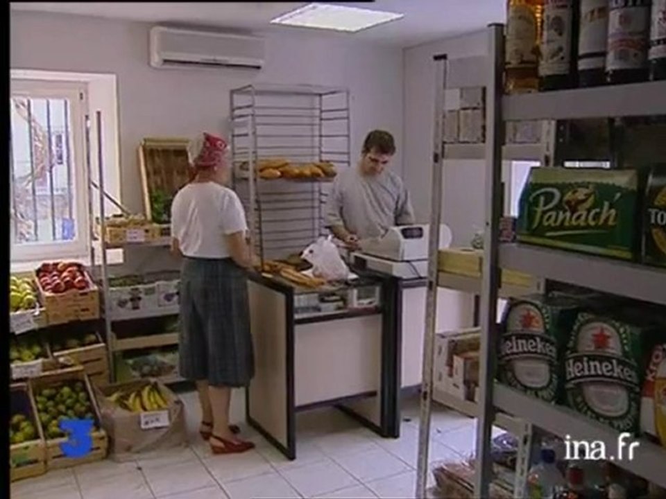 Vendange dans l'Aude