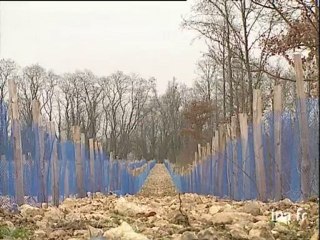 Appellation contrôlée Coteaux du Giennois