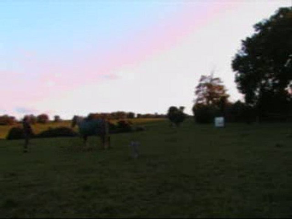 diamanche 17 octobre 2010