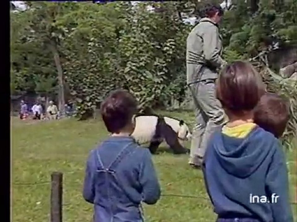 Portrait d'un zoo : le zoo de Vincennes