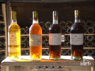 Les vendanges au Château d'Yquem