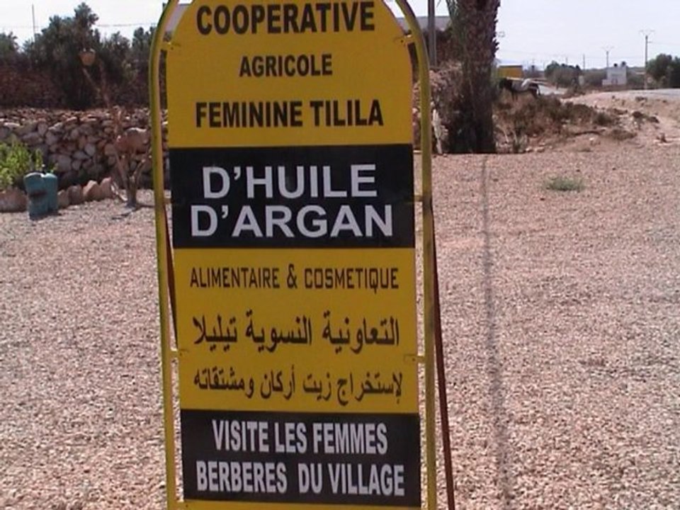 MAROC 2010 - Coopérative HUILE d' ARGAN